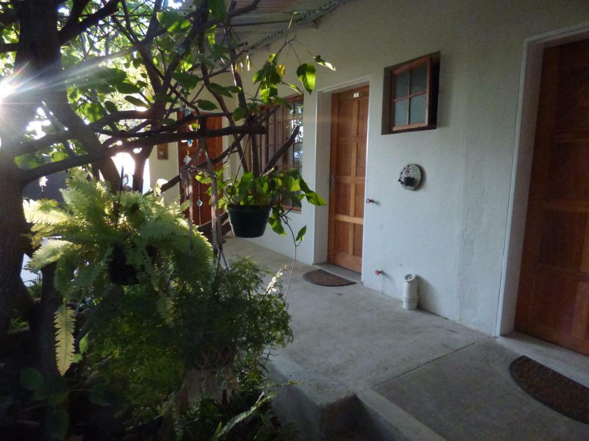 Tsumeb Backpackers&Safari Vandrarhem Exteriör bild